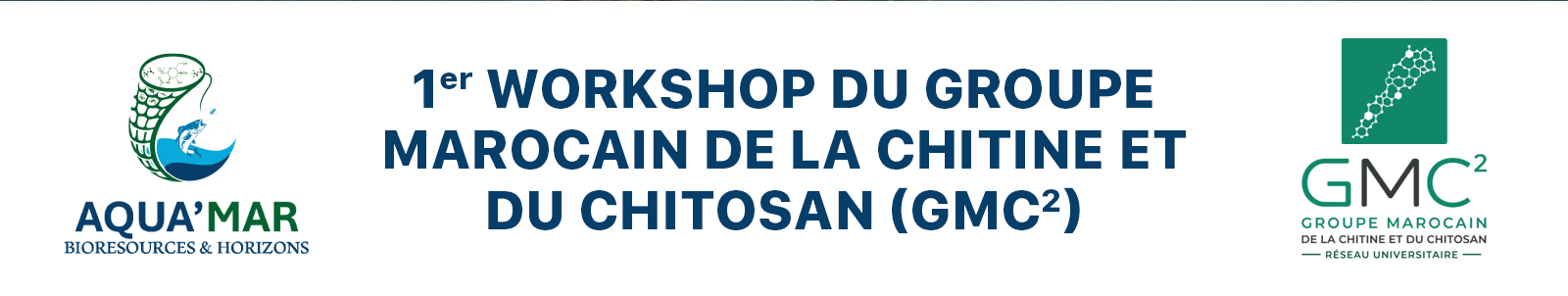 Workshop banner